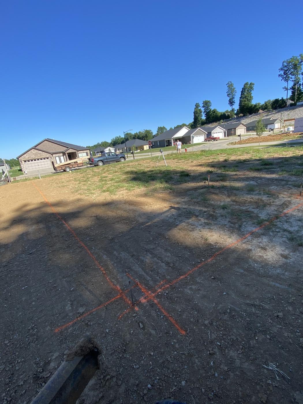 Set out and staked